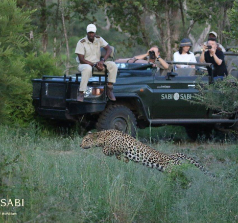 08Steff McWilliam Blog07 Final