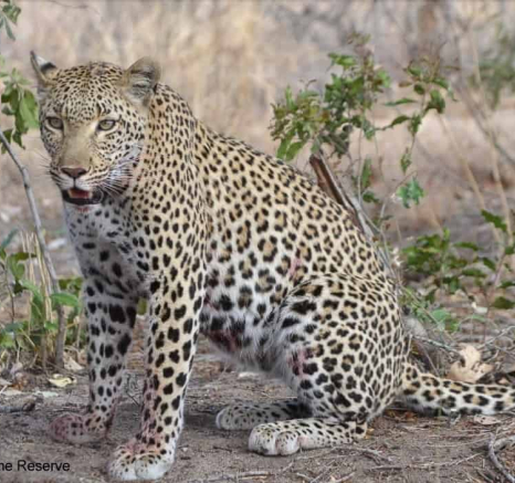 08Ronald Mutero Kigelia And Max 17102019 1 Final