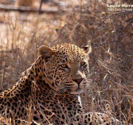 14Louise Murray WD 19102019 High Res Final