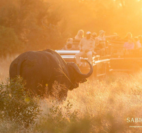 12Kevin Van Der Linde Buffalo 02052019 Final