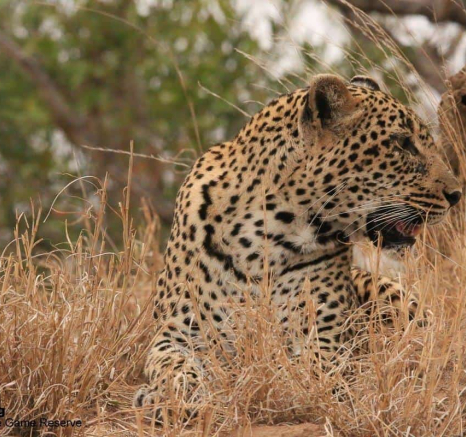 03Ruth Berning Scotia 29102019 1 Final 03Ruth Berning Scotia 29102019 1 Final