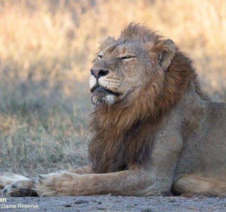 40Greg Heasman Nwas 09072020 3 Final