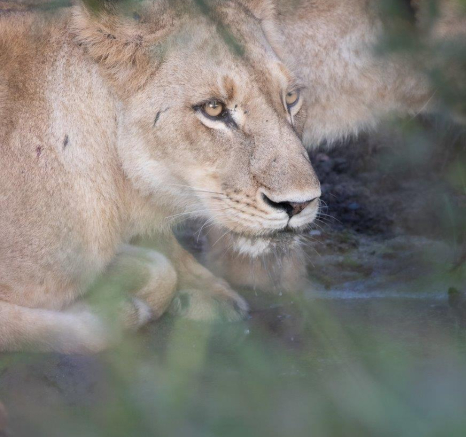 A23Graeme Stewart SP 130422 Final