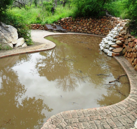 Flooded Pool Flooded Pool