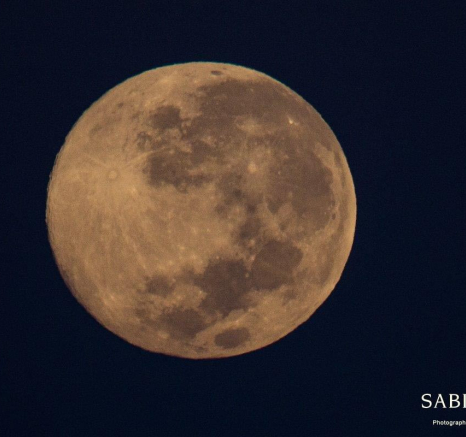 23Franscois Rosslee Moondown Final