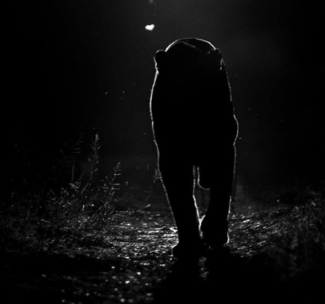 20Kevin Van Der Linde Maxabeni 16042019 2 Final