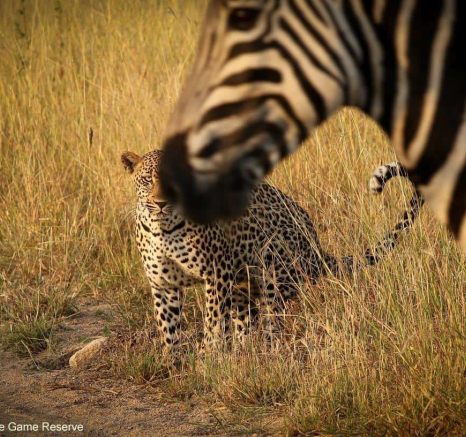 07Ally Ross Msuthlu Awkward Photobomb Final 07Ally Ross Msuthlu Awkward Photobomb Final