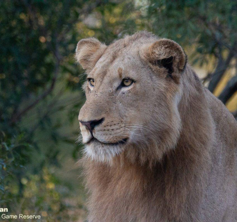 24Brett Heasman Plains Camp 07062020 1 Final