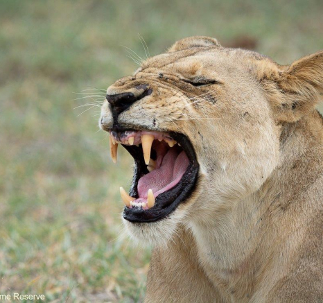 A37ronald Mutero Styx 29112022 3 Final