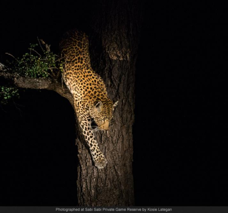 10317820 699320363448951 12784923728032673 O