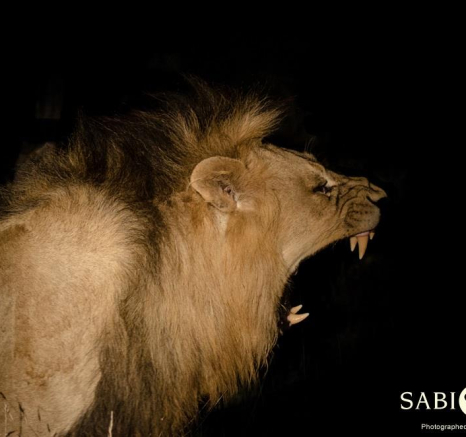 10483951 810429412338045 7315113137602872530 O