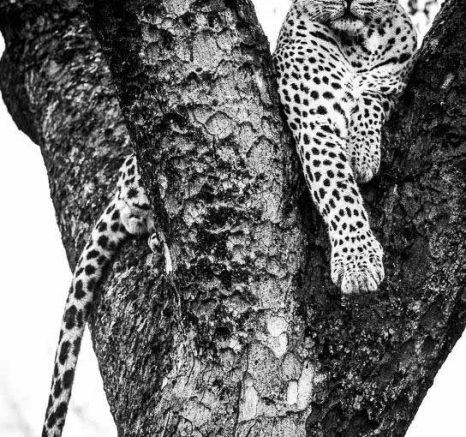 14Terry Ennever MaxMsuthu 23318 4 Final