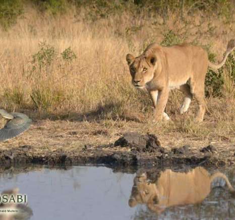 26Ronald Mutero SP 25072019 4 Final 26Ronald Mutero SP 25072019 4 Final