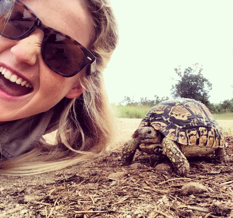 04Courtney Dalziel Tortoise 04Courtney Dalziel Tortoise