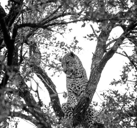 11Mike Palmer Max Vs Mash 010816 3 11Mike Palmer Max Vs Mash 010816 3