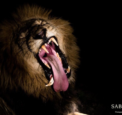 24Sheldon Hooper Yawn 3 Final 24Sheldon Hooper Yawn 3 Final