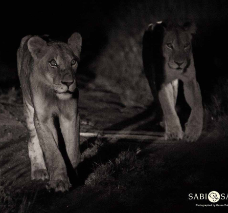 13Kevan Dobbie Mangeni Cubs 200218 5 Final