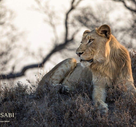 32Francois Malan SP MALE 2018826 1 Of 4 Final