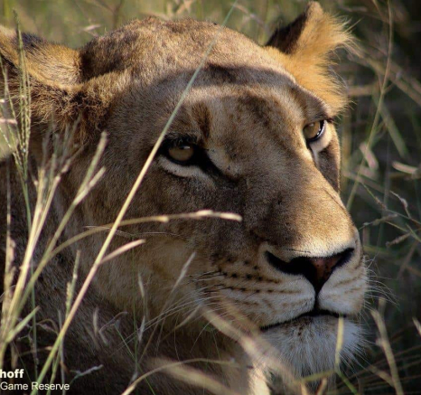 08Rebecca Boshoff SP 7 Final