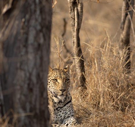 A28Graeme Stewart Ntsumi 090821 Final