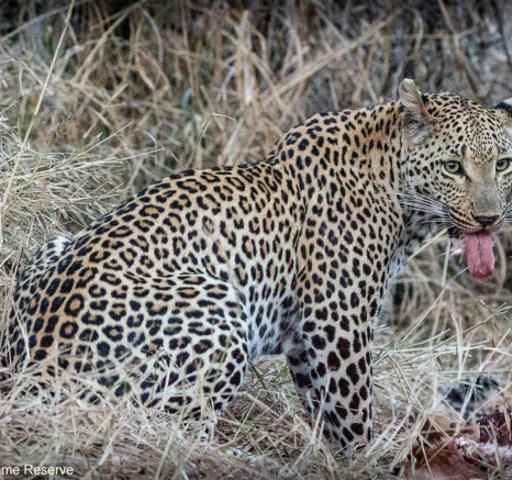 A18Ronald Mutero Ntsumi 29092021 5 Final