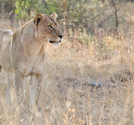 Week In Pictures 15 Week In Pictures 15