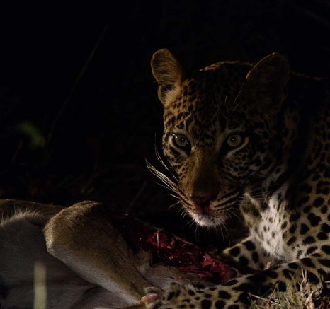 Mike Palmer Hlarulini 070316 4 Mike Palmer Hlarulini 070316 4