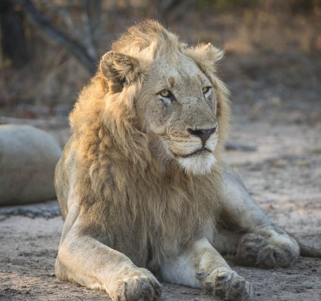 16 Terry Ennever Avoca 2018821