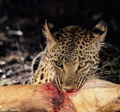 06Louise Murray Ntsumi 27052020 5 Final 06Louise Murray Ntsumi 27052020 5 Final