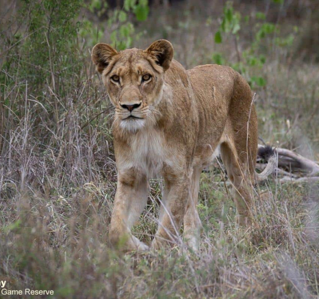 03Louise Murray Sp 18112020 Final 03Louise Murray Sp 18112020 Final