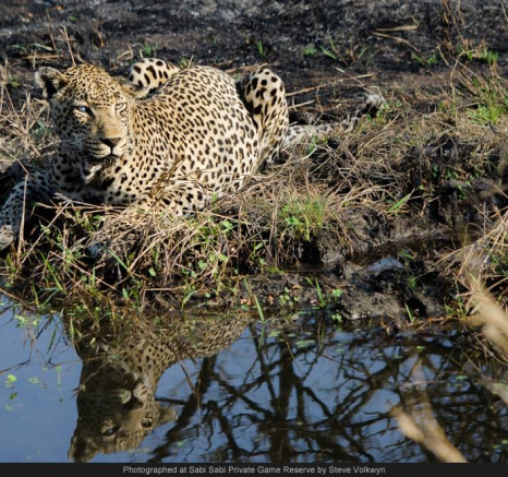 10379747 742429619138025 7664588611596957488 O