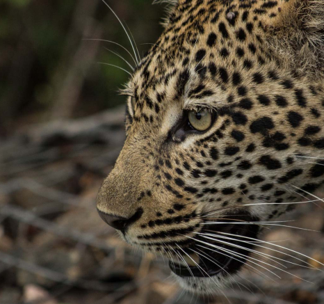 07Tayla McCurdy Hlarulini Female 11 March 16 2