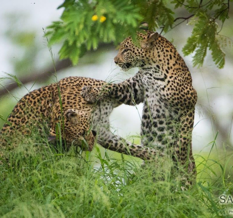 06Terry Ennever LBC 16117 3 Final