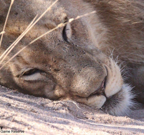 23Louise Murray Unkown 03062020 7 Final