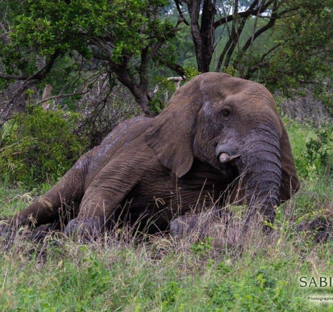 21Kerry Lee Roberg Mud.2 Final 21Kerry Lee Roberg Mud.2 Final