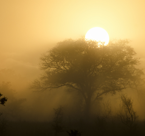 Misty Sunrise Misty Sunrise