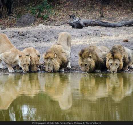 10712494 740440322670288 6364075143315382764 O