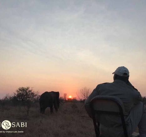 28Chanyn Lee Zeelie Sunset Ele Safari Final 28Chanyn Lee Zeelie Sunset Ele Safari Final
