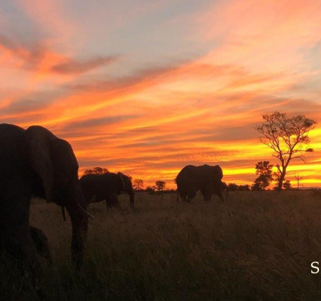 30Daniel Hitchings Ele Sunset Final 30Daniel Hitchings Ele Sunset Final