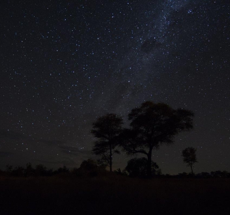 04Sheldon Hooper Star Stitch 3