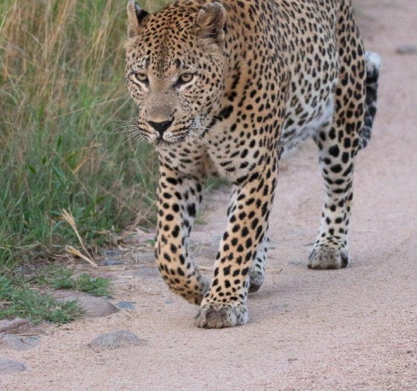 18Louise Murray Max 13042019 Final