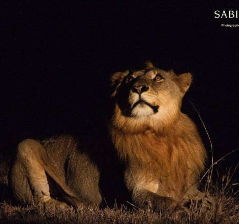 23Frederik Aucamp SP Lions Plus 2 Talamati Males 01 07 2019 Final 23Frederik Aucamp SP Lions Plus 2 Talamati Males 01 07 2019 Final