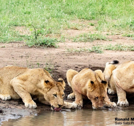 15ronald Mutero Khambula Pride 01032021 12 FINAL