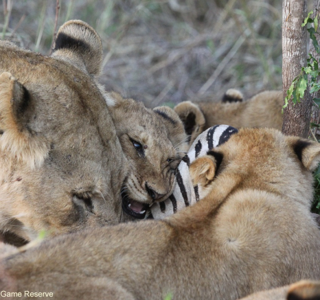 B07Erin Herbst Styx 1 091021 Final