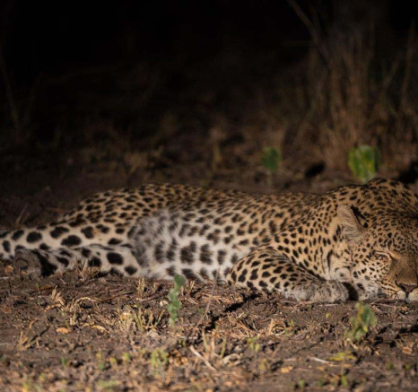 07Terry Ennever LBC Mpisi 15 5 16 07Terry Ennever LBC Mpisi 15 5 16