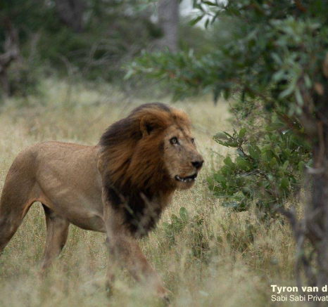 14 Tyron Van Der Walt Birmingham Males 160420 1