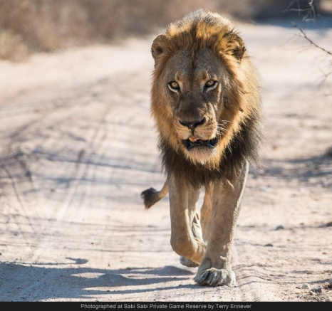 10543557 733232126724441 1958064967379155253 O