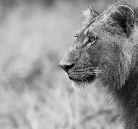 17Terry Ennever Talamati3 27 2 15 17Terry Ennever Talamati3 27 2 15