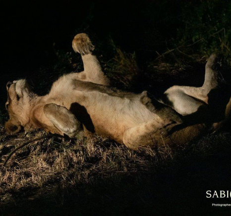 15Kerry Lee Roberg SP 250519 Final 15Kerry Lee Roberg SP 250519 Final