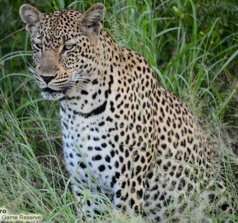 31Ronald Mutero Msuthu 17022020 4 Final 31Ronald Mutero Msuthu 17022020 4 Final